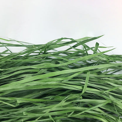 Natural Timothy Hay Chew Snacks for Small Pets