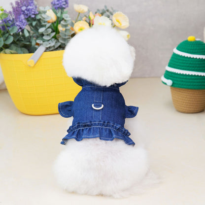 Summer Dog Outfit