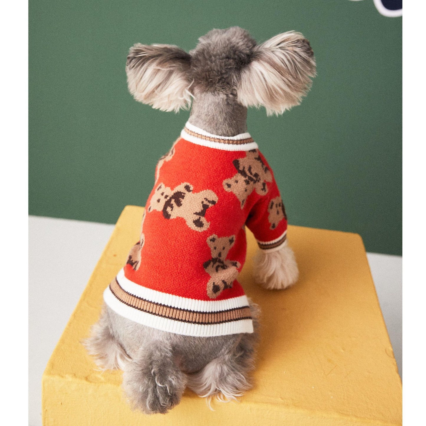 Bear Print Pet Cardigan