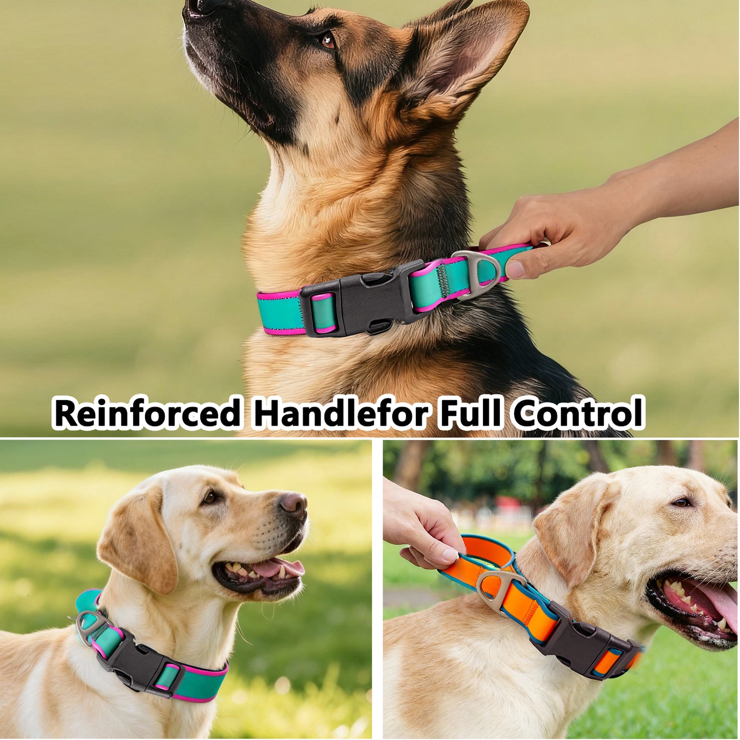 Heavy-Duty Tactical Collar for Dogs