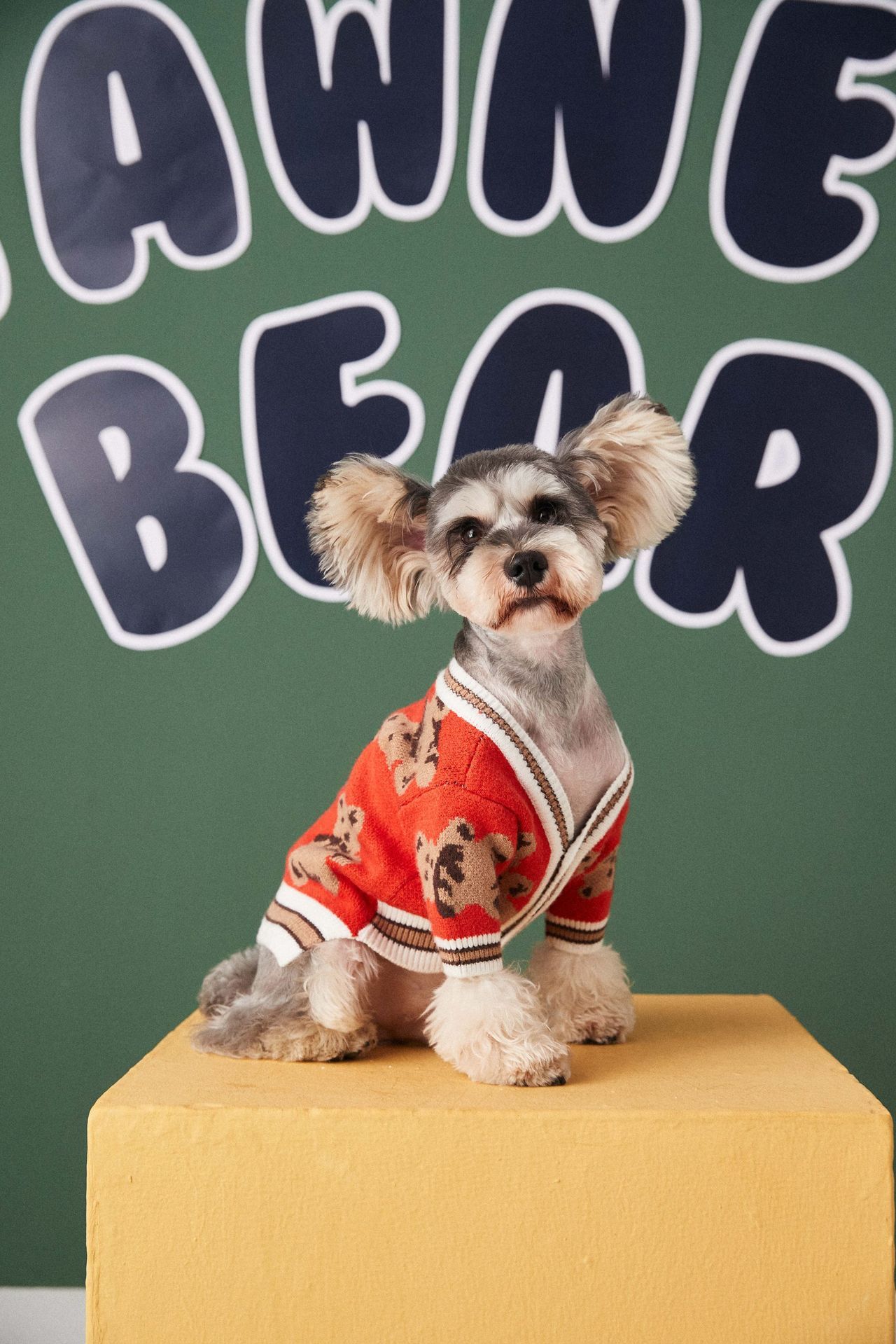 Bear Print Pet Cardigan
