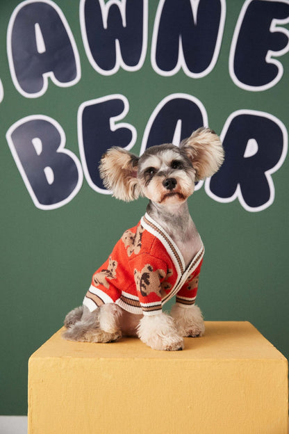 Bear Print Pet Cardigan