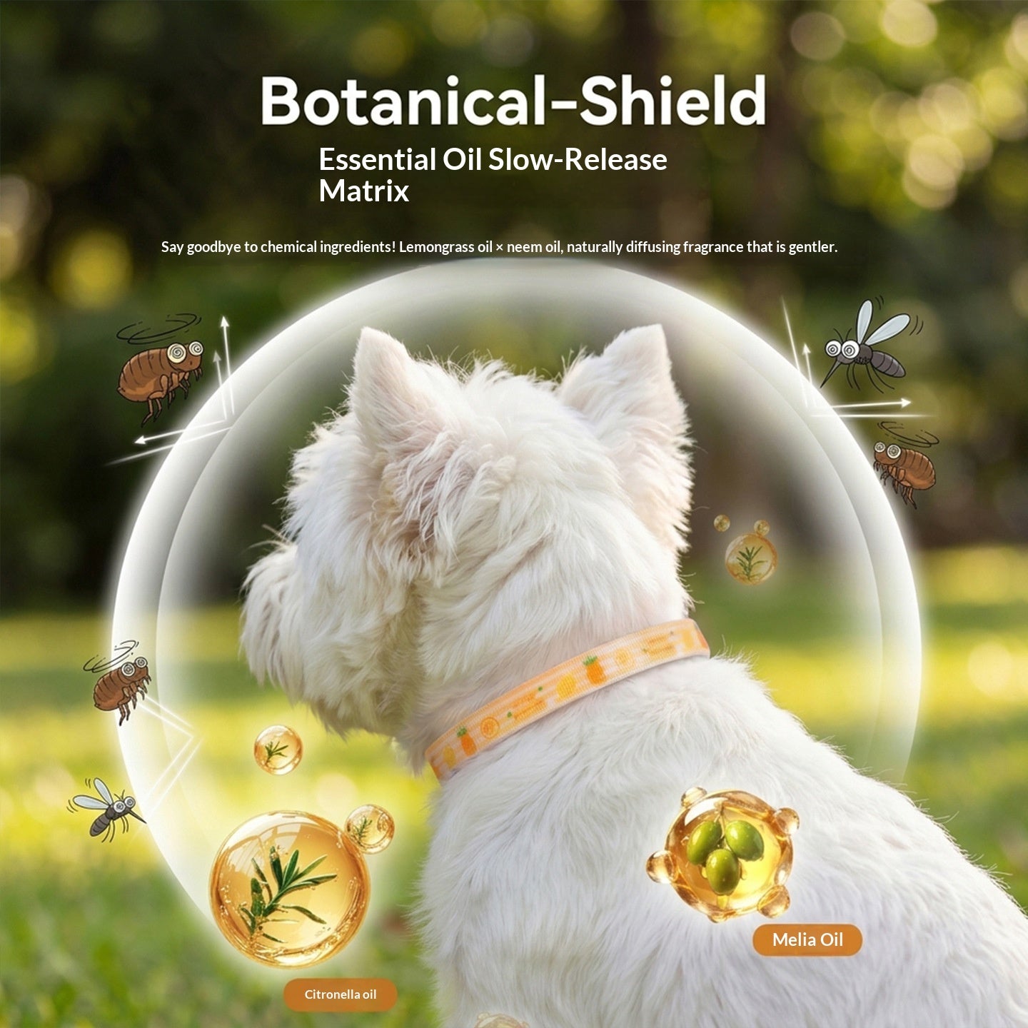 Reflective Safety Collar