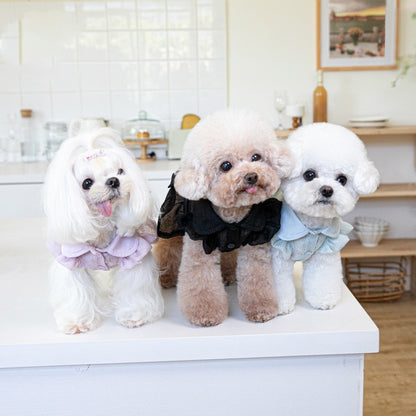 Korean-Style Fashion Pet Outfit