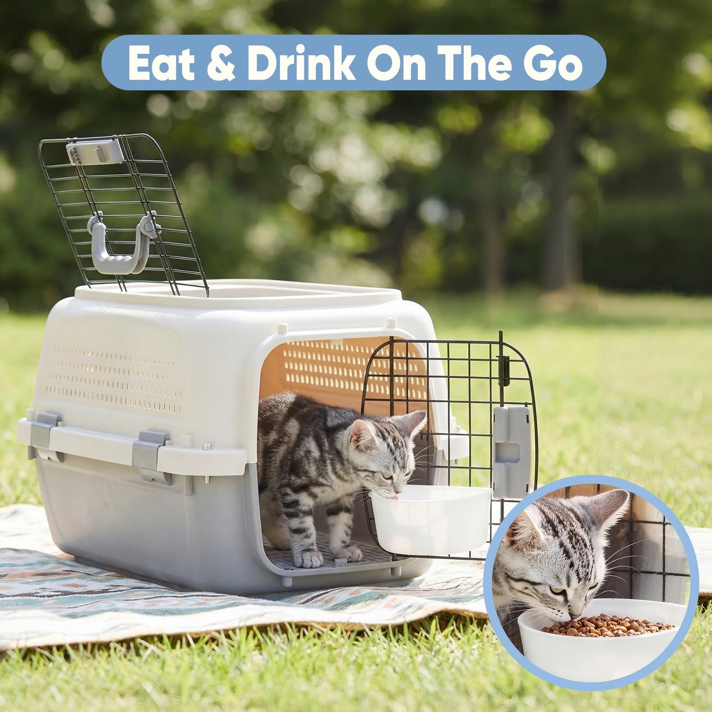Collapsible Silicone Travel Water Bowl (2-Pack)