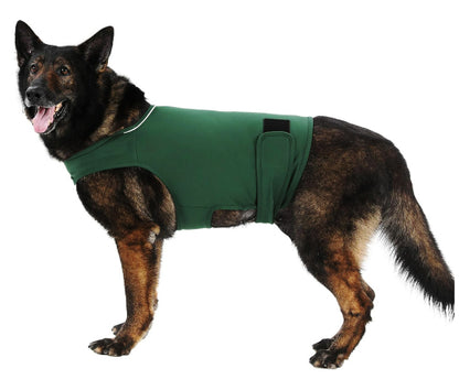 Calming Pheromone Collar for Dogs
