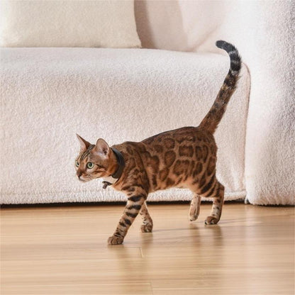 Pet Laser Toy Collar