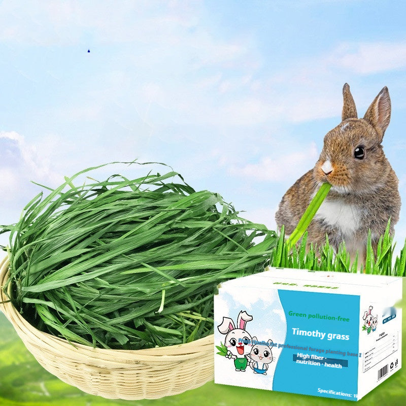Natural Timothy Hay Chew Snacks for Small Pets