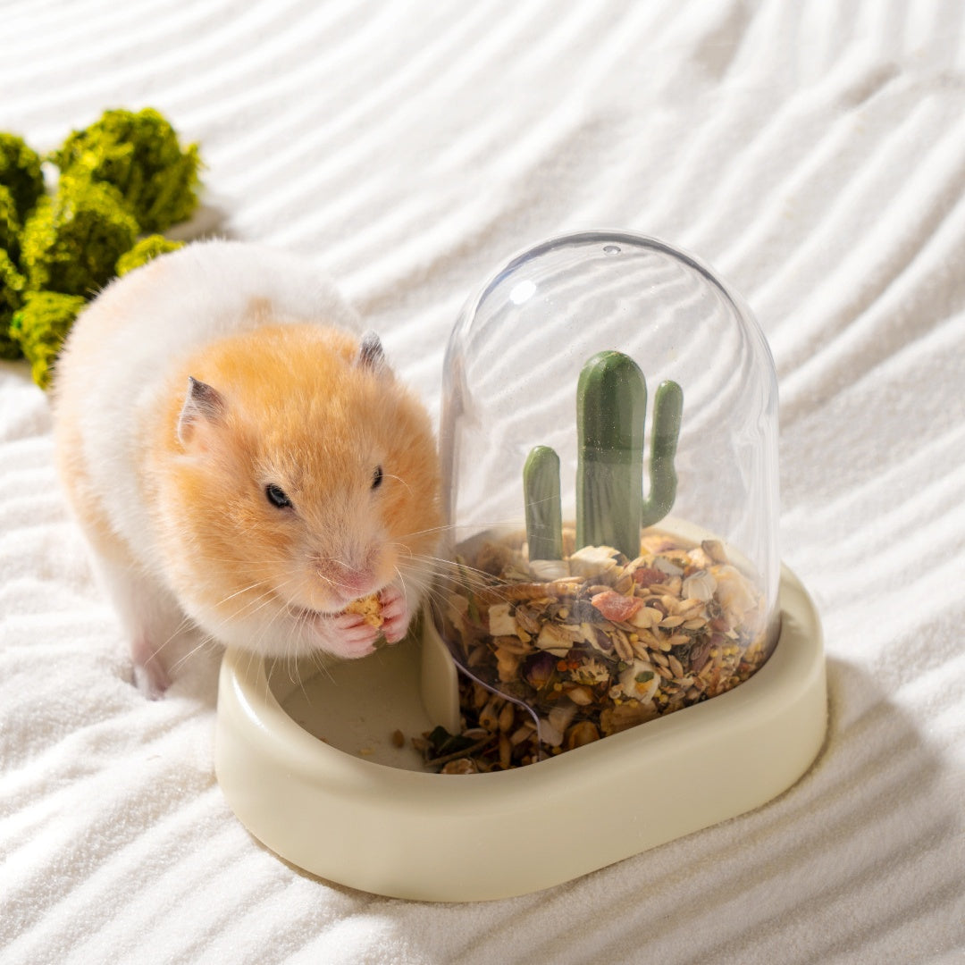 Cactus Feeder for Hamsters & Small Pets