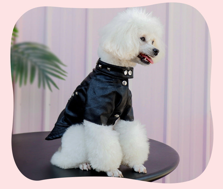 Korean-Style Leather Dog Winter Coat