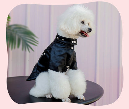 Korean-Style Leather Dog Winter Coat